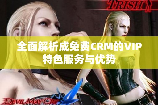 全面解析成免费CRM的VIP特色服务与优势