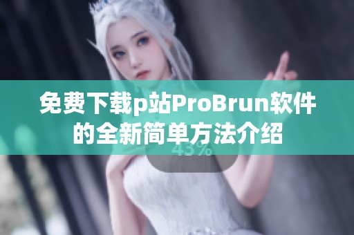 免费下载p站ProBrun软件的全新简单方法介绍