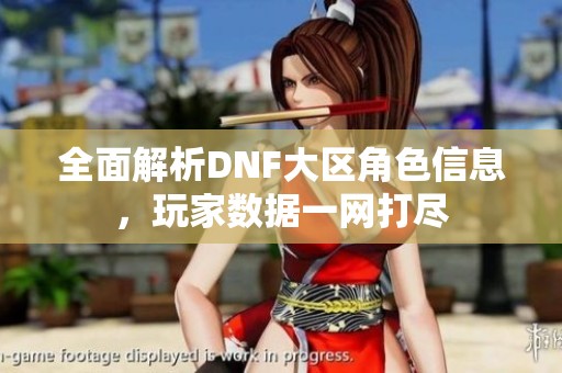 全面解析DNF大区角色信息，玩家数据一网打尽