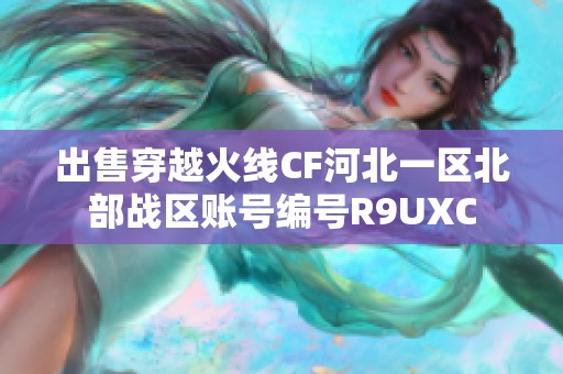 出售穿越火线CF河北一区北部战区账号编号R9UXC