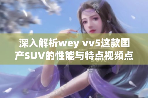 深入解析wey vv5这款国产SUV的性能与特点视频点评