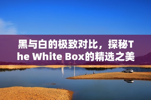 黑与白的极致对比，探秘The White Box的精选之美