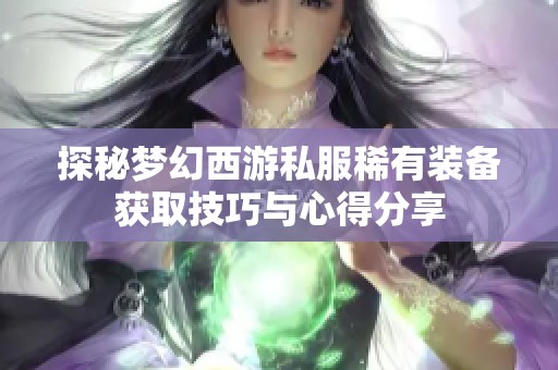 探秘梦幻西游私服稀有装备获取技巧与心得分享