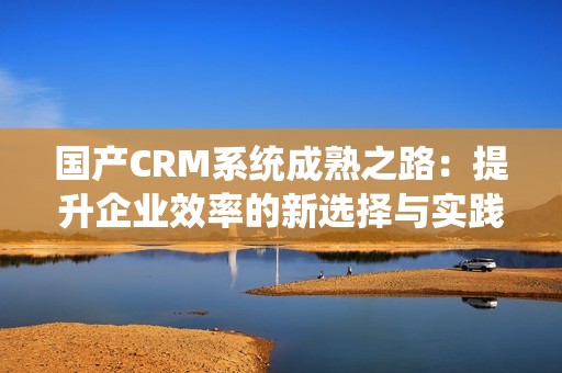 国产CRM系统成熟之路：提升企业效率的新选择与实践