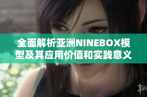 全面解析亚洲NINEBOX模型及其应用价值和实践意义