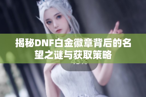 揭秘DNF白金徽章背后的名望之谜与获取策略