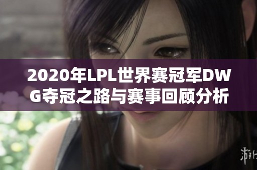 2020年LPL世界赛冠军DWG夺冠之路与赛事回顾分析