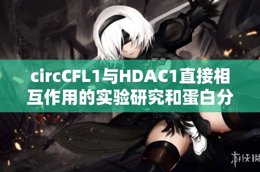 circCFL1与HDAC1直接相互作用的实验研究和蛋白分析