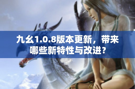 九幺1.0.8版本更新，带来哪些新特性与改进？