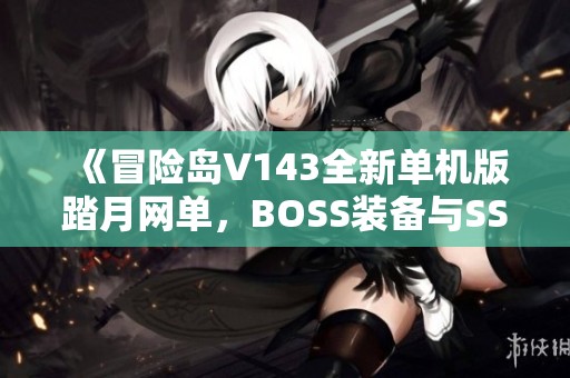 《冒险岛V143全新单机版踏月网单，BOSS装备与SS道具全解锁》