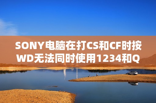 SONY电脑在打CS和CF时按WD无法同时使用1234和Q键的问题解析