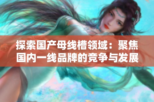 探索国产母线槽领域：聚焦国内一线品牌的竞争与发展