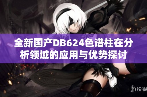 全新国产DB624色谱柱在分析领域的应用与优势探讨