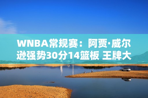 WNBA常规赛：阿贾·威尔逊强势30分14篮板 王牌大胜天空队