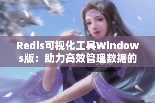 Redis可视化工具Windows版：助力高效管理数据的重要利器