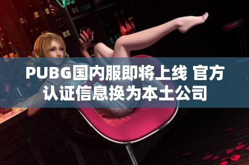 PUBG国内服即将上线 官方认证信息换为本土公司