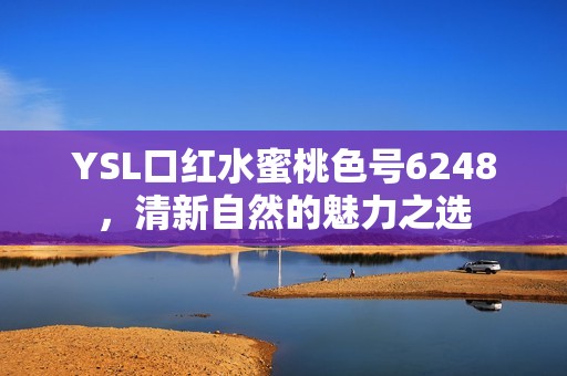 YSL口红水蜜桃色号6248，清新自然的魅力之选