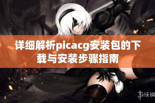 详细解析picacg安装包的下载与安装步骤指南