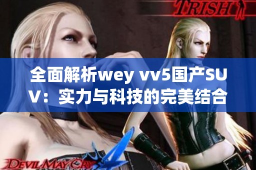 全面解析wey vv5国产SUV：实力与科技的完美结合