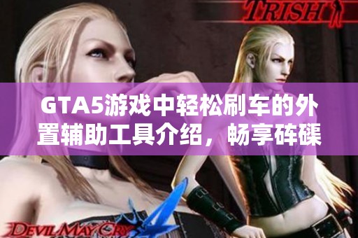 GTA5游戏中轻松刷车的外置辅助工具介绍，畅享砗磲手游之家之旅