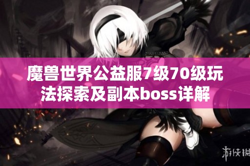 魔兽世界公益服7级70级玩法探索及副本boss详解