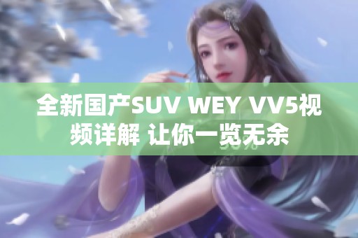 全新国产SUV WEY VV5视频详解 让你一览无余