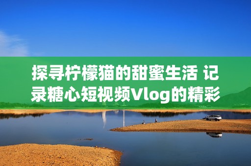 探寻柠檬猫的甜蜜生活 记录糖心短视频Vlog的精彩瞬间