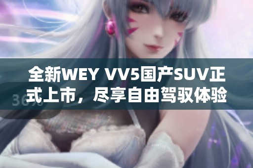 全新WEY VV5国产SUV正式上市，尽享自由驾驭体验