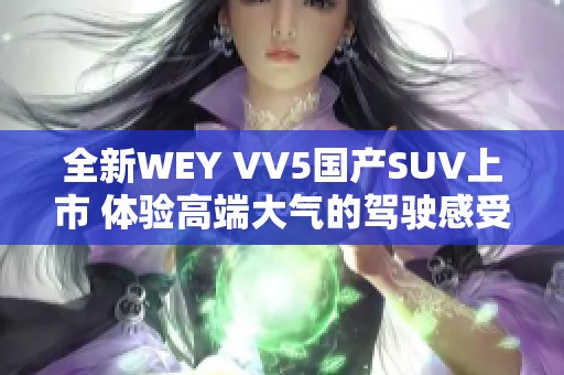 全新WEY VV5国产SUV上市 体验高端大气的驾驶感受