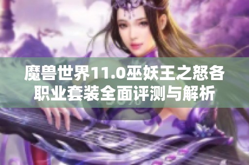 魔兽世界11.0巫妖王之怒各职业套装全面评测与解析