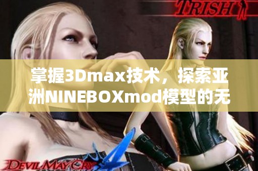 掌握3Dmax技术，探索亚洲NINEBOXmod模型的无限魅力