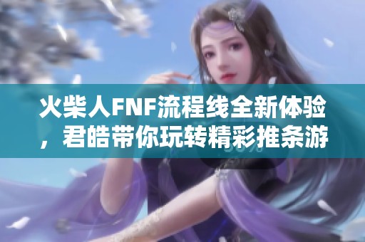 火柴人FNF流程线全新体验，君皓带你玩转精彩推条游戏