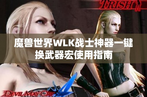 魔兽世界WLK战士神器一键换武器宏使用指南