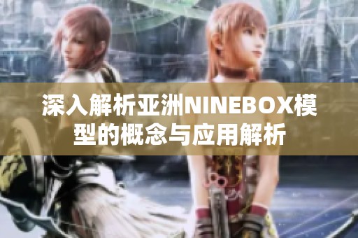 深入解析亚洲NINEBOX模型的概念与应用解析