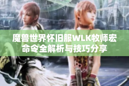 魔兽世界怀旧服WLK牧师宏命令全解析与技巧分享