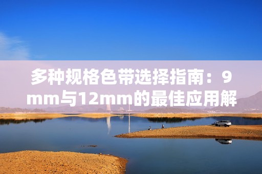 多种规格色带选择指南：9mm与12mm的最佳应用解析