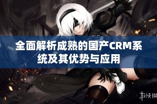 全面解析成熟的国产CRM系统及其优势与应用