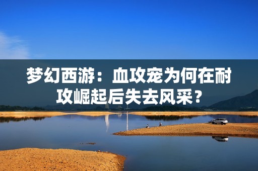 梦幻西游：血攻宠为何在耐攻崛起后失去风采？