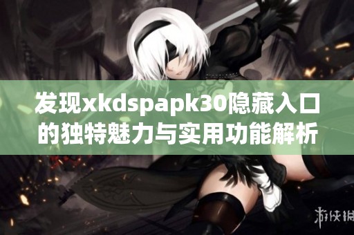 发现xkdspapk30隐藏入口的独特魅力与实用功能解析