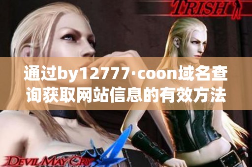 通过by12777·coon域名查询获取网站信息的有效方法