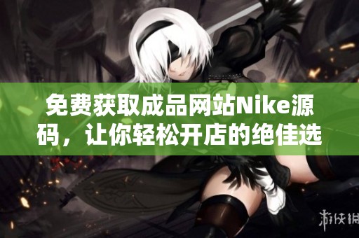 免费获取成品网站Nike源码，让你轻松开店的绝佳选择