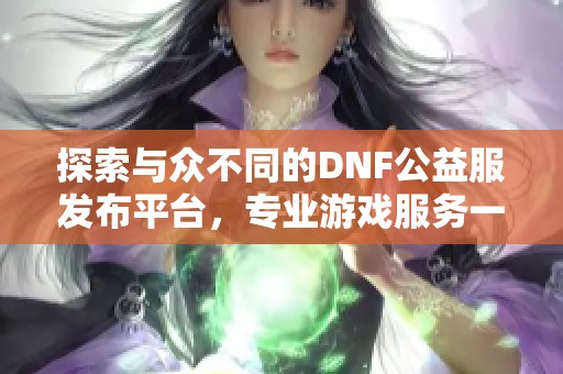 探索与众不同的DNF公益服发布平台，专业游戏服务一手掌握