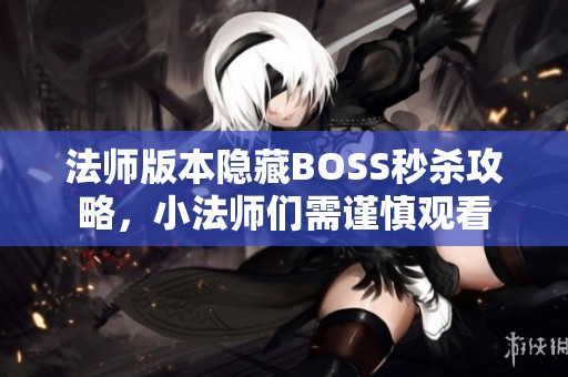 法师版本隐藏BOSS秒杀攻略，小法师们需谨慎观看